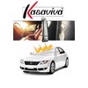 Kasaviva Silver Folding Car Sun Shade High Reflective UV Protection