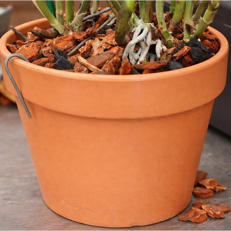 Orchid Nerd Galvanized Rhizome Clip for Clay Pot 5 Inch
