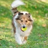 MEKAPLE Mini Tennis Ball 12 Pack for Pet Playing Fecth,
