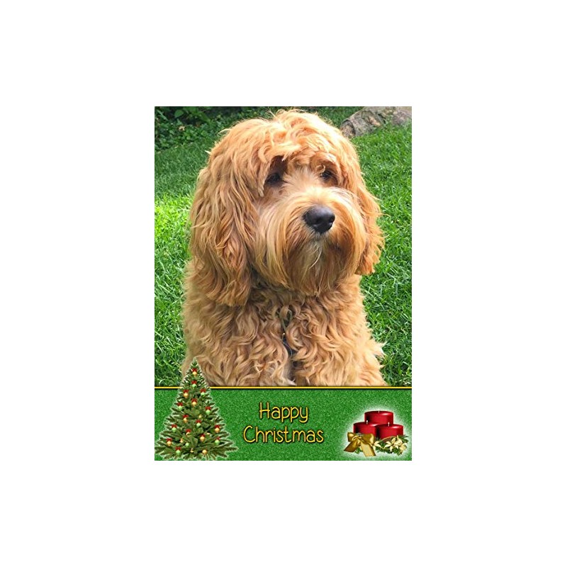 Cockapoo Dog Christmas Card 'Happy Christmas' - Special Animal Xmas