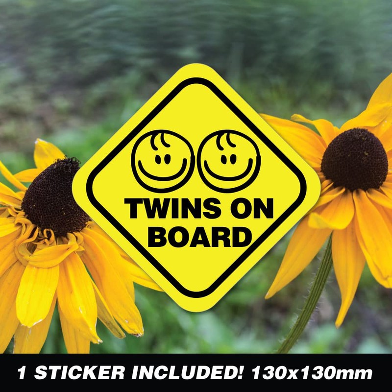 Twin On Board Boy & Boy Sticker