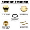 Tip-Toe Tub Drain, Bathtub Drain Replacement Kit, with 2 Hole