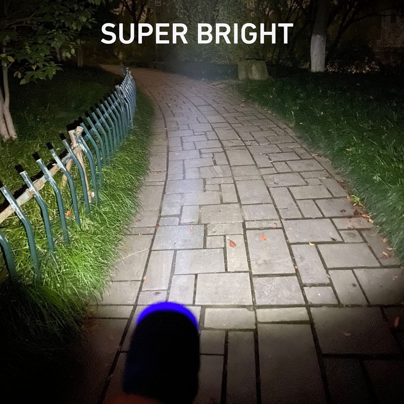 SEAMAGIC 6-Pack Small Flashlights Set, Super Bright 100 Lumen LED
