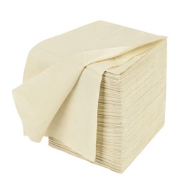 Earth's Natural Alternative, Tree Free Dinner Napkins 13 Inch x 13 Inch, 140/pack, 140 Count