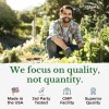 Vitalitown Moringa Capsules 11000mg Pure Moringa Oleifera for Energy and