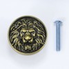 Cabinet Knobs Antique Lion Head Drawer Pulls Gold Animal Knobs