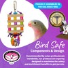 Super Bird Creations SB891 Balsa Bling Bird Toy, Small Bird