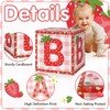 Lopeastar 16Ft Strawberry Baby Shower Decorations Balloons Boxes Kit, Berry