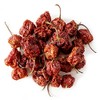 Genuine 100% Moruga Scorpion Pods 25g