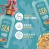 Mielle Organics Champú Anticaída De Musgo Marino 8 Onzas Líquidas