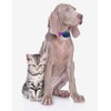 Heavy Duty Nylon Replacement Dog Collar Strap - Compatible with