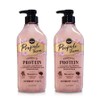 Elastine Propoliterra Protein Nutrition Shampoo for Damaged Hair Cherry Blossom Fragrance, 2, 500ml / 엘라스틴 프로폴리테라 손상모발용 단백질 영양 샴푸 체리블라썸 향, 2개, 500ml