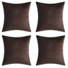 Andreannie Set of 4 Velvet Super Soft Comfortable Solid Decorative
