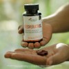 PACALLI Resveratrol con Quercetina - 60 Cápsulas