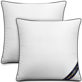 Utopia Bedding Throw Pillow Inserts (Pack of 2, White), 28 x 28 Inches Decorative Indoor Pillows for Sofa, Bed, Couch, Cushion Sham Stuffer