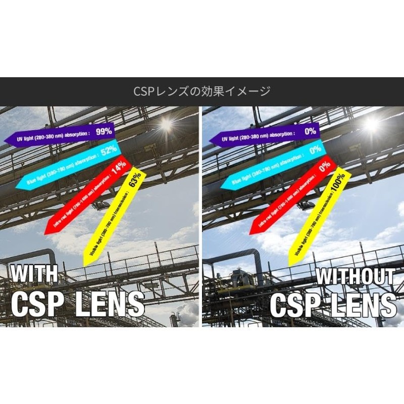 Volley X810 Tactical Goggles Asian Fit + Replacement Lens CSP
