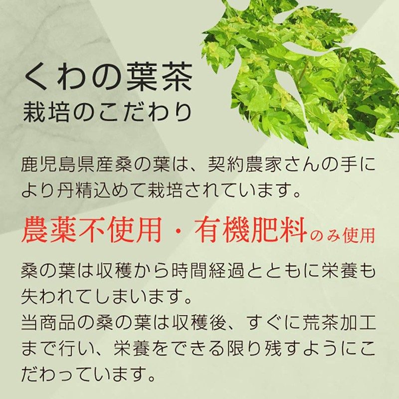 nichie Mulberry Leaf Tea Produced in Kagoshima Roasting Tea Bags,