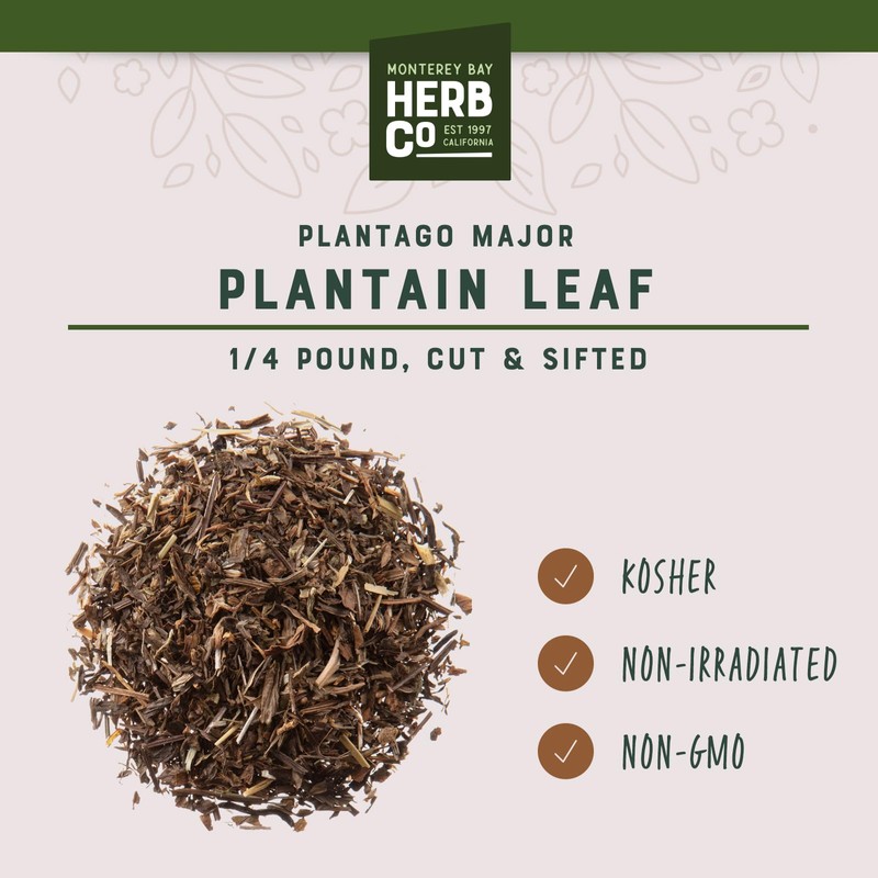 Dried Plantain Herb Leaves Cut & Sifted, by Herb Co,