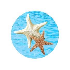 7.5" Pre-Cut Round Starfish Design Edible Image By TNCT!