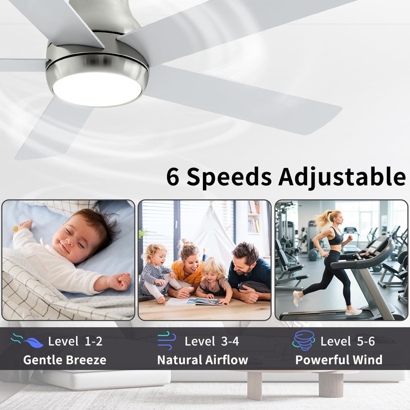 POCHFAN 52 Inch Brushed Nickel Ceiling Fans with Lights and