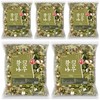 5 500g domestic Hwangchil tree leaf branches / 국산 황칠나무
