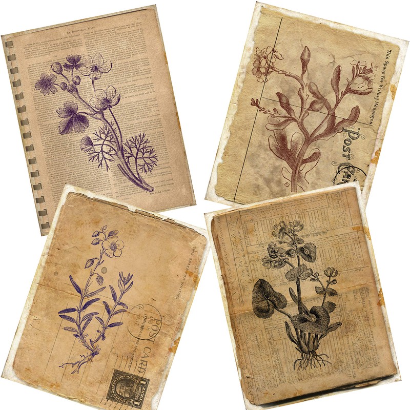 Botanical Journal Paper Pack - EZ Journal 7028