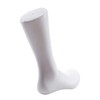 Bruafsir Male Legs Feet Foot Mannequin Sock Display Mold Short