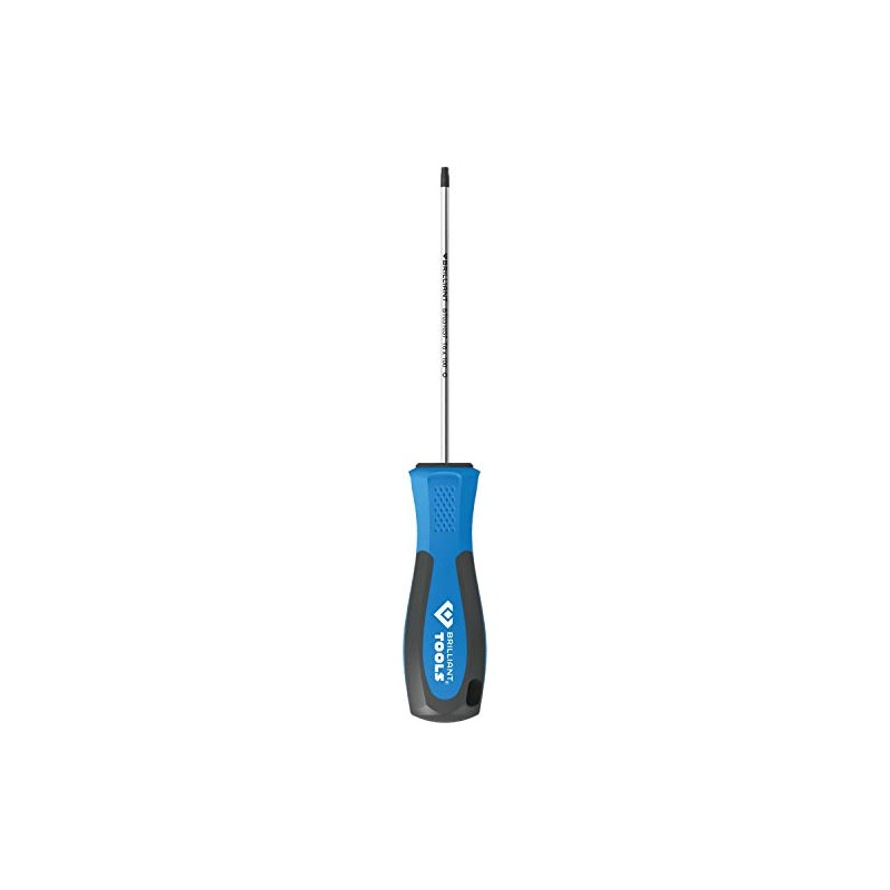 BRILLIANT TOOLS BT031037 Torx Screwdriver T6 x 100 mm [Powered