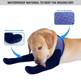 COODEO Dog Socks & Paw Protectors - Front Paws Only, Non-Slip Waterproof Dog Boots to Prevent Paw Licking, Protect Wounds & Aids Post-Surgery Recovery (Purple, L)
