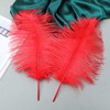 Ballinger Red Ostrich Feathers Bulk - 24Pcs 8-10inch Feathers for