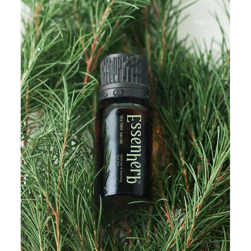 Essenc herb Essential Herb Tea Tree 100 Oil 10ml x