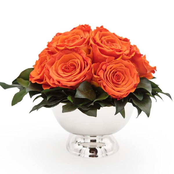 ROSEMARIE SCHULZ Heidelberg Infinity Flower in Silver Cup Eternal Rose