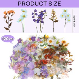 Pack of 120 Flower Stickers Plants, Transparent Flower Stickers, PET Waterproof Transparent Stickers, Scrapbooking, Suitable for Scrapbooks, Photo Albums, Diaries, Notebooks