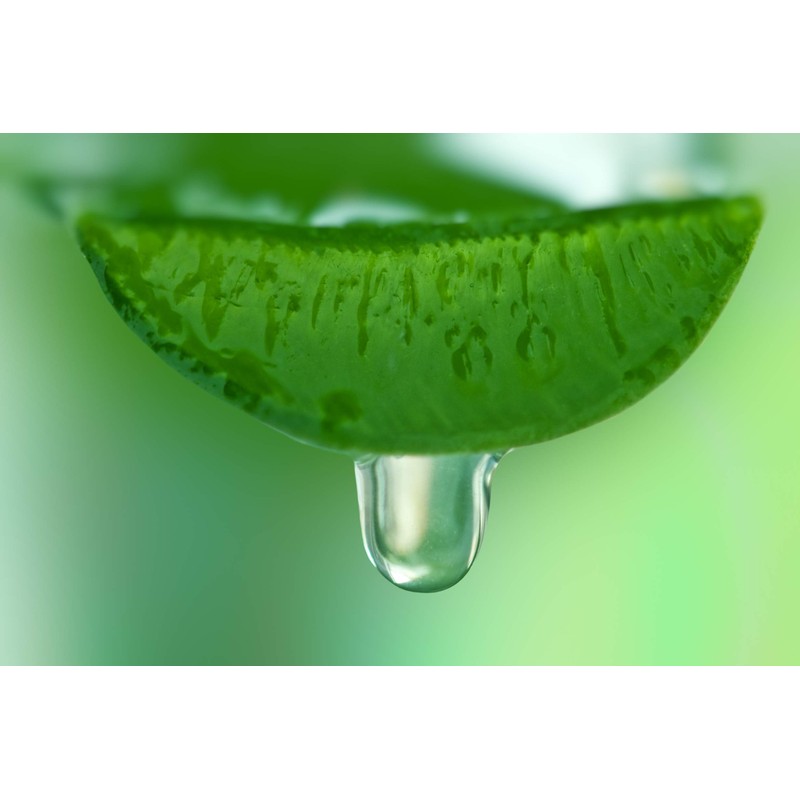 ALOEMI Lotion, 5.1 fl oz (150 ml)