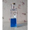 Generic Unsinkable Ship Going Merry Pirate Ship in a Bottle