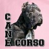 CafePress Cane Corso Cap Unique Adjustable Baseball Hat Pink