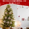 Doyime Christmas Ornaments, 24 Pieces (with Clips), Squirrel Tree Decorations,