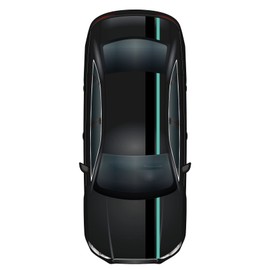 Finest Folia Racing Stripes Racing Stripes 5 m x 15 cm and 10 m x 5 cm Rally Stripes Viper Strips for Vehicles Car Accessories Tuning Strips for Bonnet Roof Rear (Black Gloss/Mint)