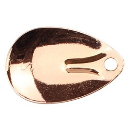 FTM Tornado Spinner Trout Bait Weight / Colour: 2 g / Silver / Blue