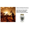 Patz Birch Sap Water 32 Ounce Jar Tapped from Wisconsin