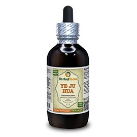 Ye Ju Hua (Chrysanthemum indicum) Tincture, Dried Flowers Liquid Extract (Brand Name: HerbalTerra, Proudly Made in USA) 4 fl.oz (120 ml)