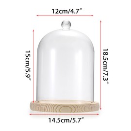 JUXYES Glass Display Dome Cloche with Wood Base, Clear Glass Dome Cloche Bell Sphere Jar Snow Globe Kit, Dustproof Glass Snowglobe Cloche Bell Jar Display for Fairy Lights Plants Collectible Figure