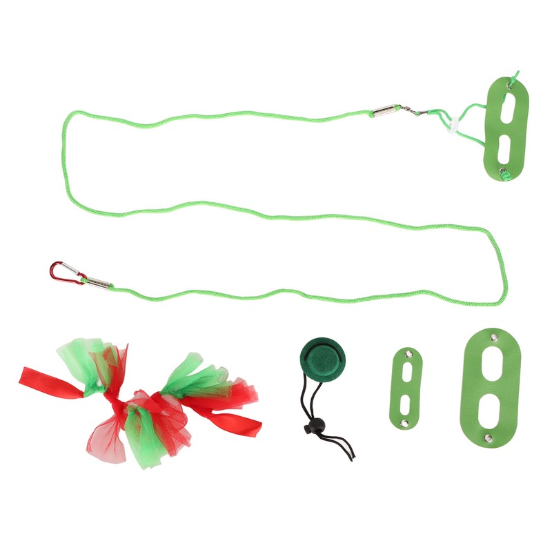 Reptile Pet Leash Kit Christmas Reptile Harness with Skirts Hat