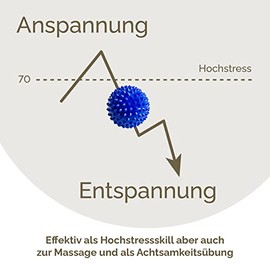2x DBT Skills Igelball | Magnetischer Hochstress Akupressurball | Blau matt | 32mm Durchmesser | zum Stressabbau oder zur Massage, gegen Anspannung und f√ºr mehr Beweglichkeit und Konzentration