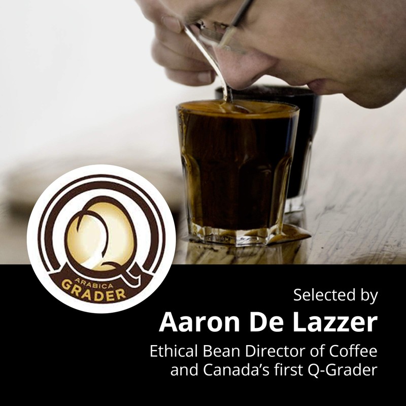 Ethical Bean Coffee Superdark Single Serve 100% Compostable Coffee Pods,