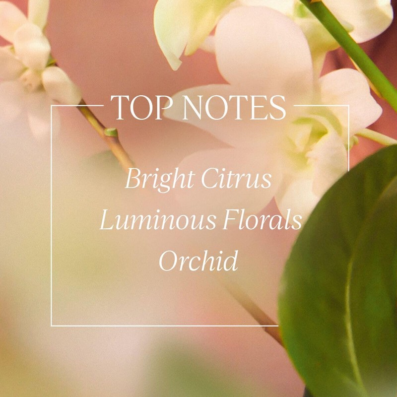 L'Occitane Néroli & Orchidée Shower Gel 2.50 fl. oz