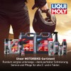 LIQUI MOLY Bike Cleaner | 1 L | Fahrradpflege |