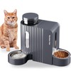 Gardner Pet Automatic Gravity Cat Food Feeder and Water Dispenser