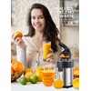 Professional Brushed Stainless Steel Electric Citrus Juicer, 2 Interchangeable Cones