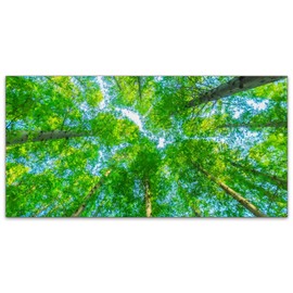 Fluorescent Light Covers for Classroom Office - Eliminate Harsh Glare Causing Eyestrain and Headaches.Office and Classroom Ceiling LED Ceiling Light CoversTrees